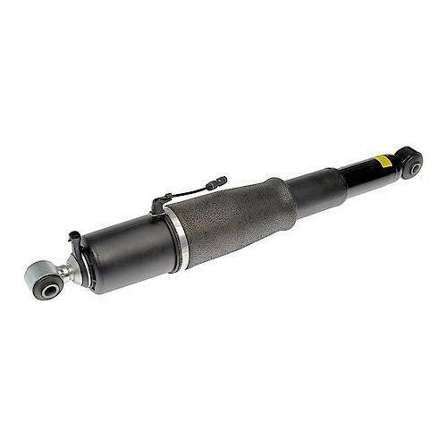 2000-2014 Cadillac/Chevrolet/GMC Rear Left; Rear Right Shock Absorber