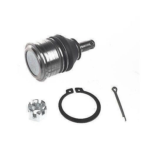1988-2003 Acura/Honda/Isuzu Rear Lower Suspension Ball Joint