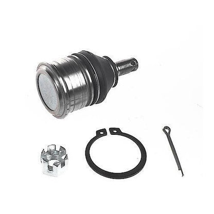 1988-2003 Acura/Honda/Isuzu Rear Lower Suspension Ball Joint