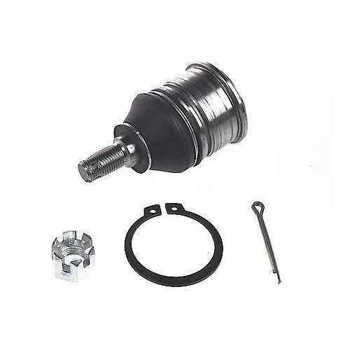1988-2003 Acura/Honda/Isuzu Rear Lower Suspension Ball Joint