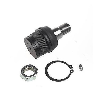 1993-2022 Dodge/Ford Front Lower Suspension Ball Joint