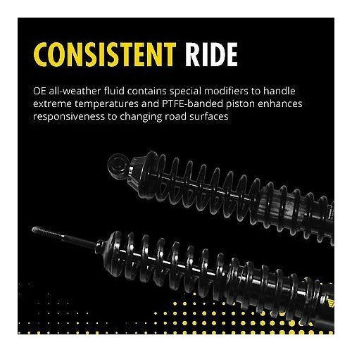 1994-2002 Dodge Rear Suspension Shock Absorber, Coil Spring Assembly Pack of 2