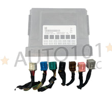 ✅ 2010-2019 GM Body control Module BCM BCU Connector Plug OEM